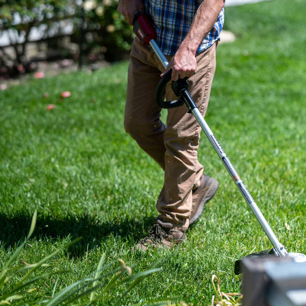Gartendienstleistungen & Pflege